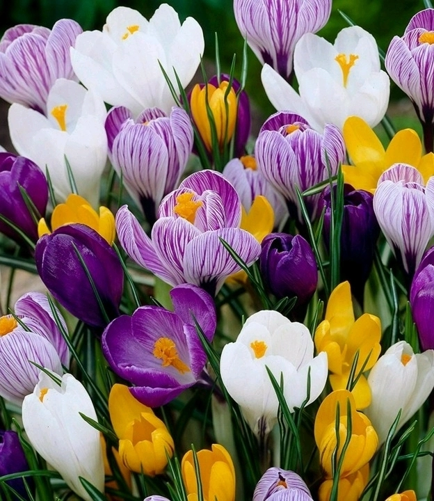 deleted_b4694907-ff09-4b0f-a240-72f88ce3055e