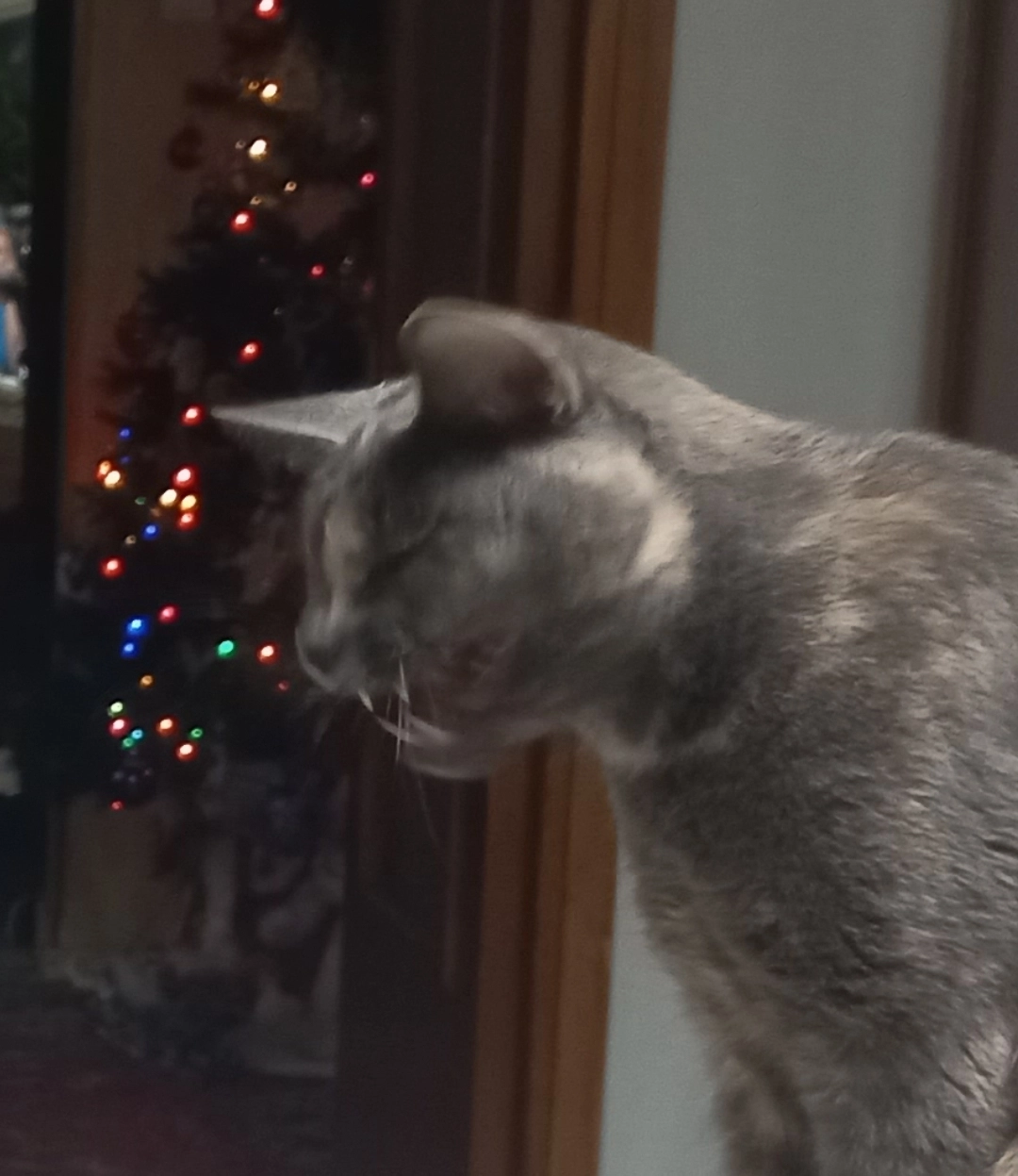 mayka
