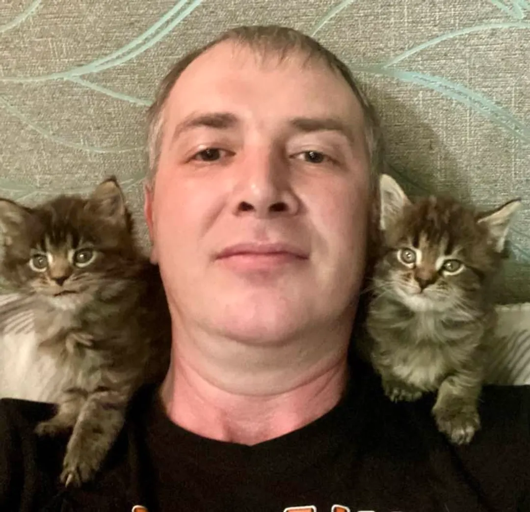 mainecoon