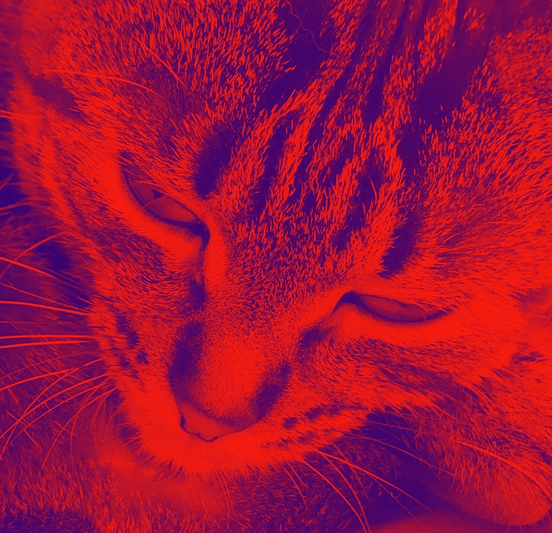 user_m0p8jreba7o