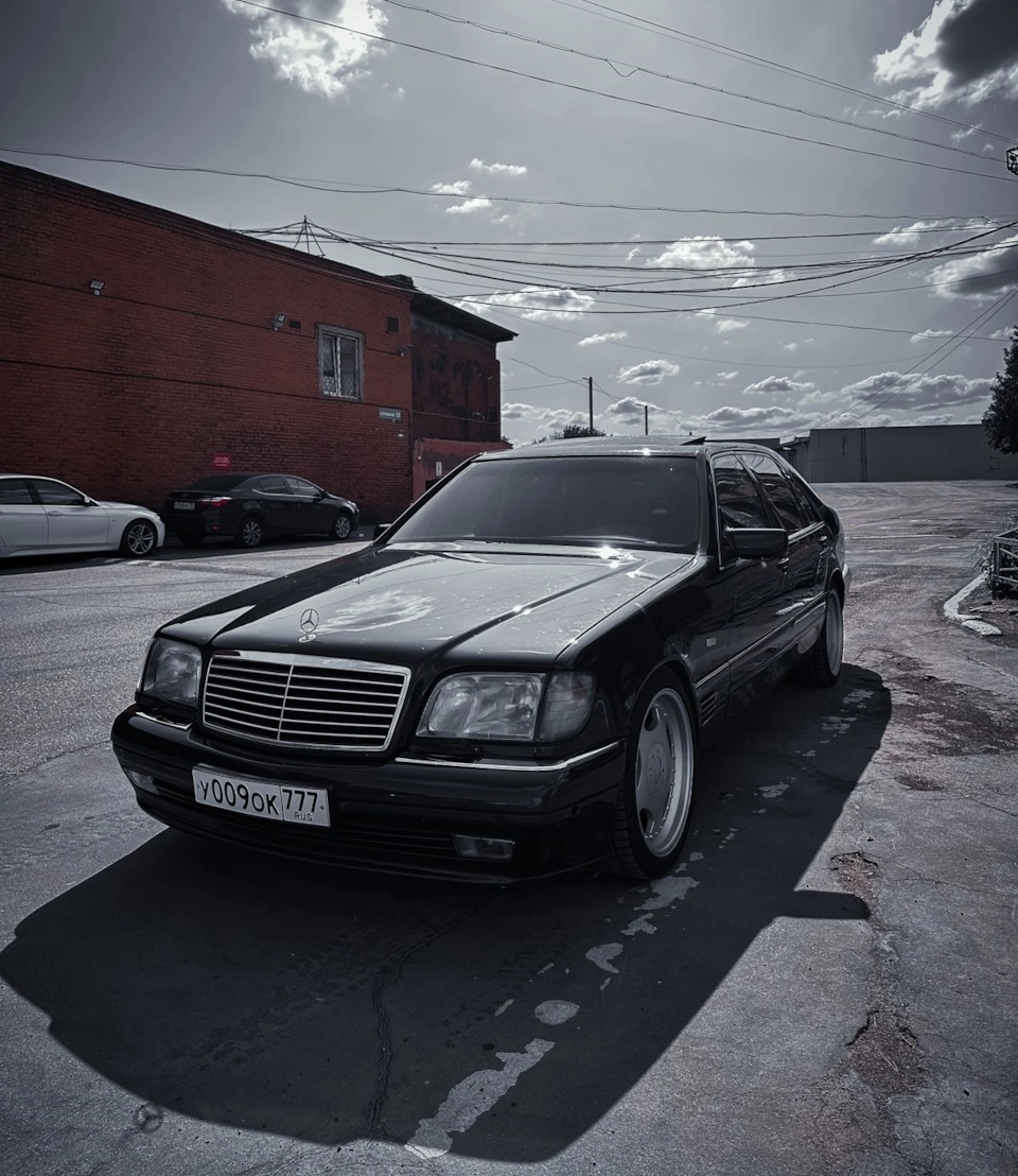 red68zed
