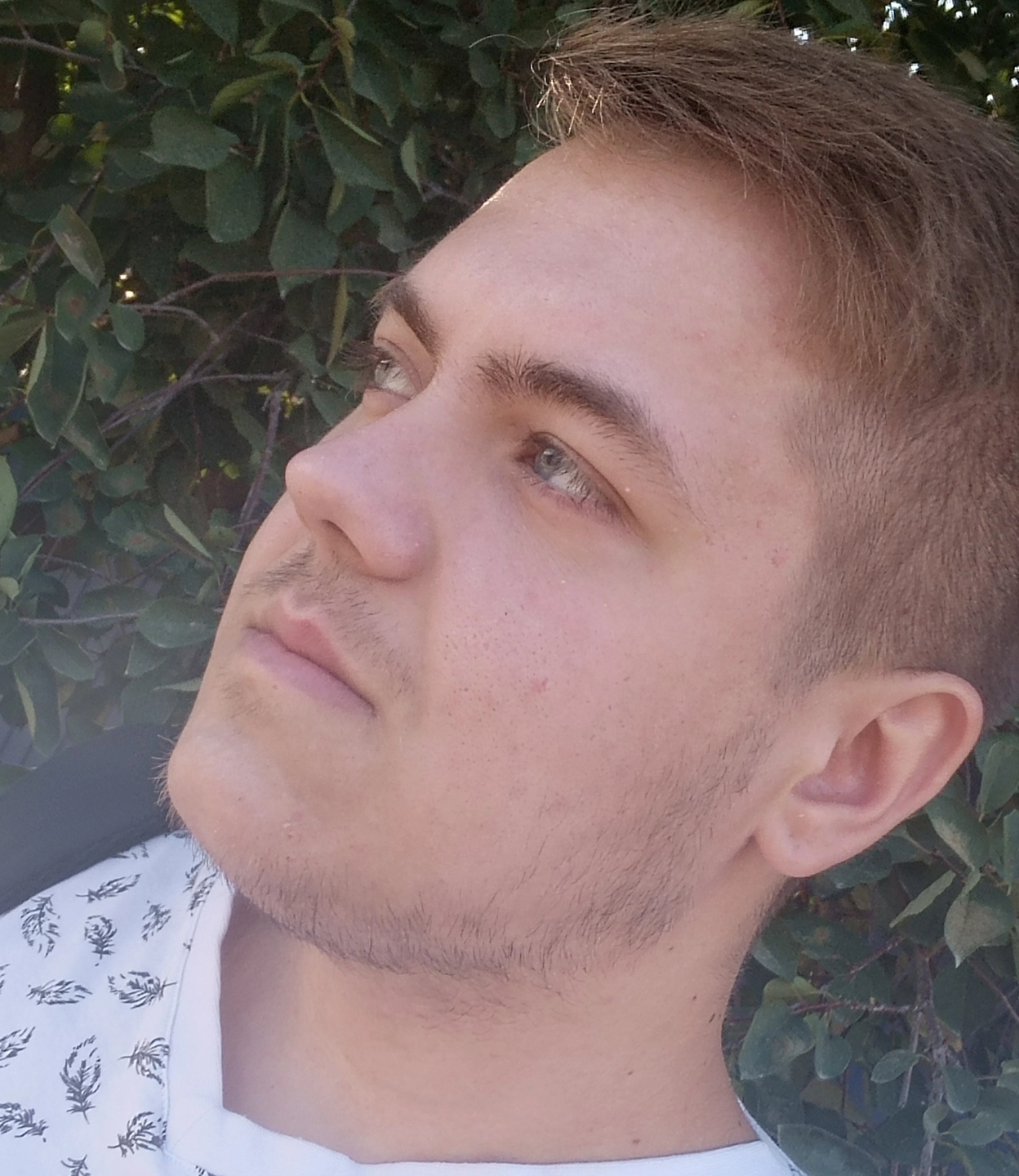 dmitron