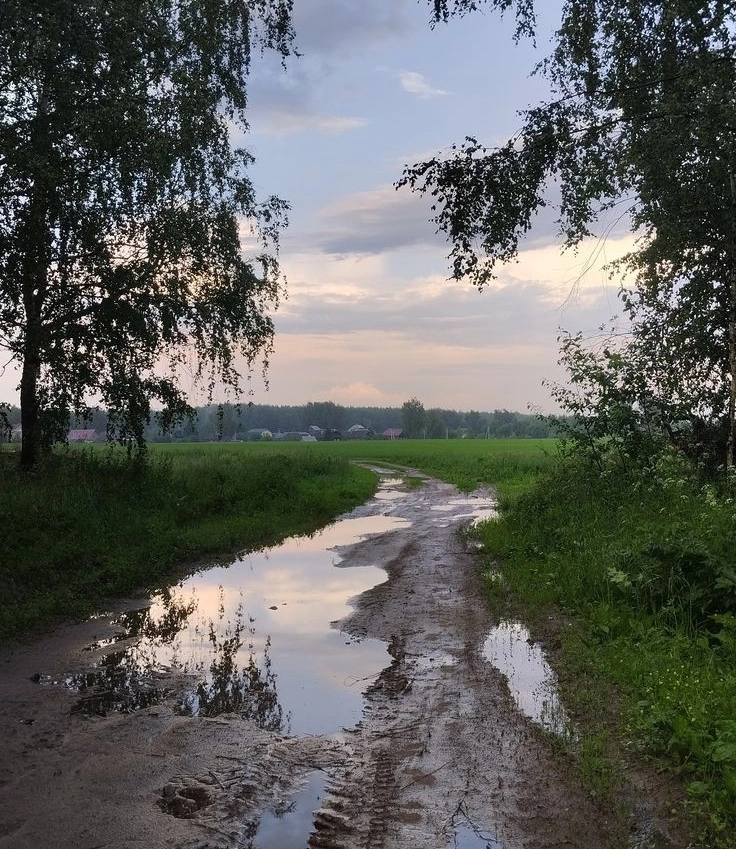 dima75