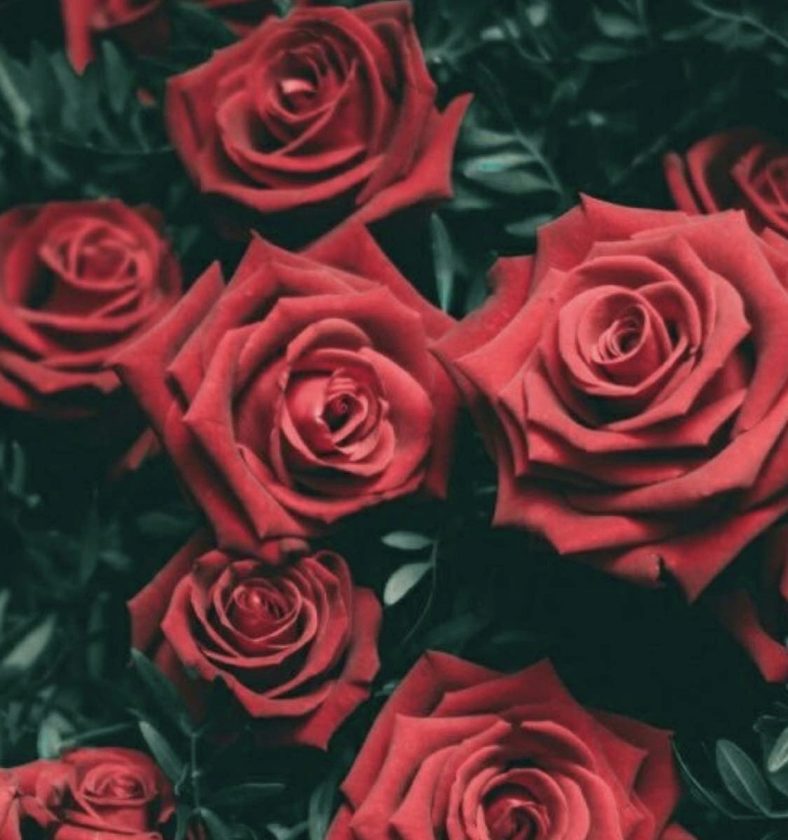 amore