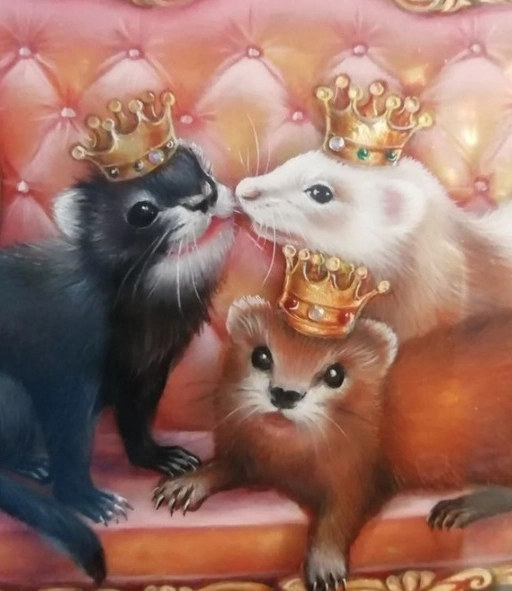 princesses_ferrets