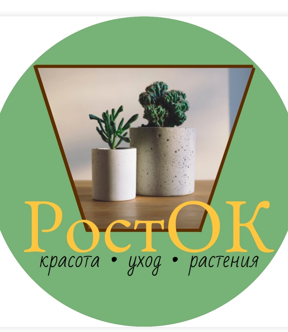 rostok