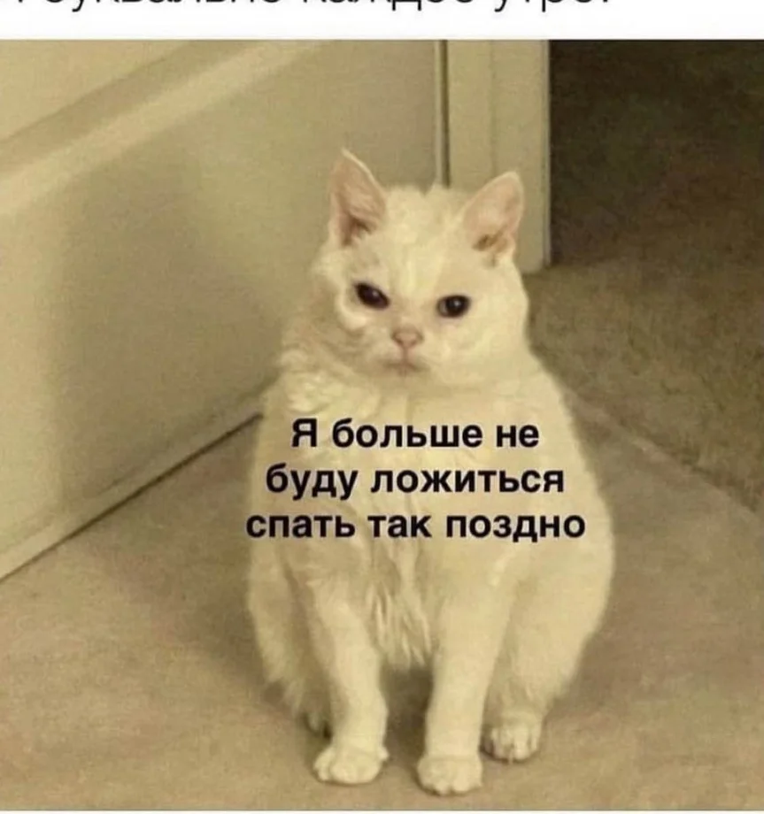 cyka.wow